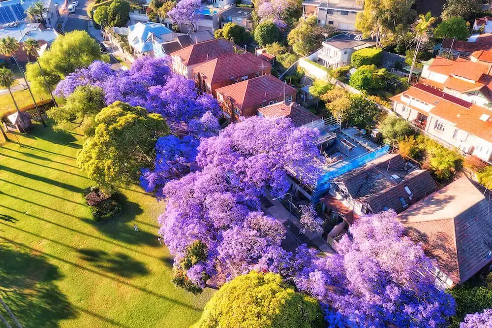 Pricing your home for a top sale result