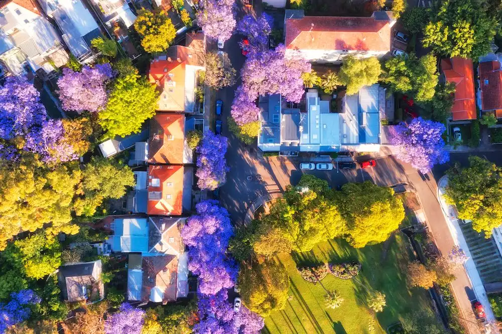 Property market favouring sellers in Omicron outbreak, but agents warn of looming shift