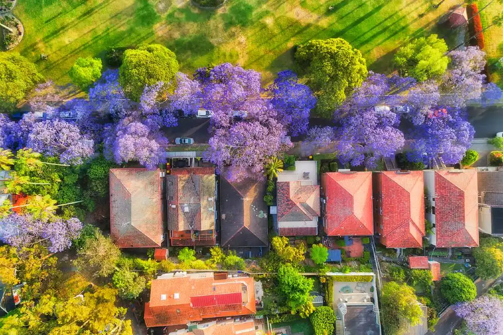 sydney-houses-aerial-view