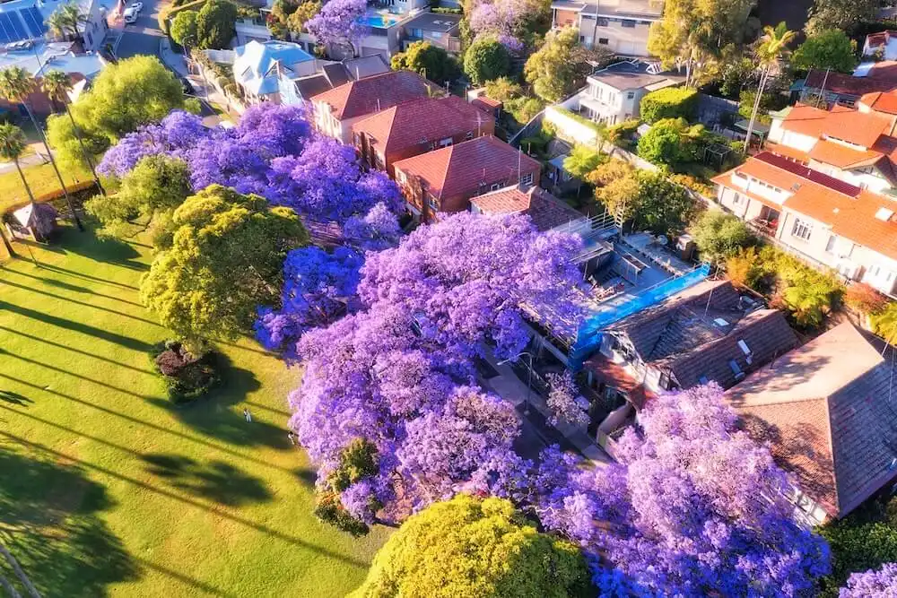 Spring property outlook: Will more listings shift the market?